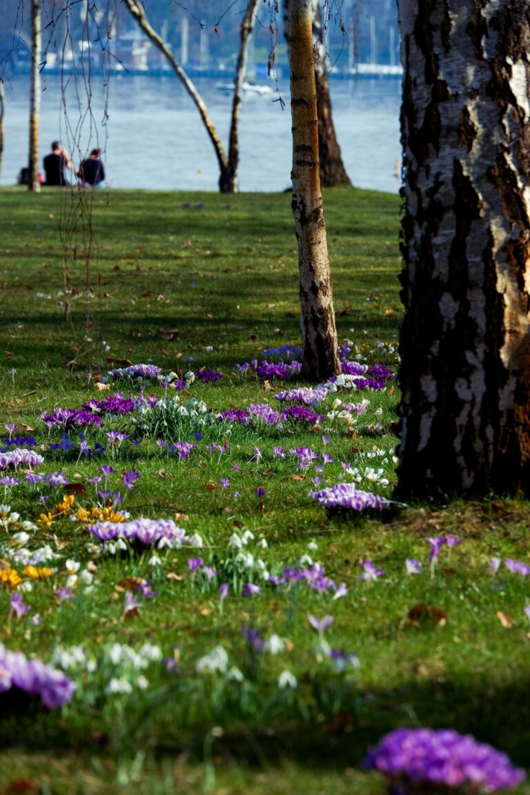 Park in Recklinghausen
